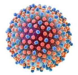 WhatsApp Image 2020-10-19 at 16.25.51.jpeg