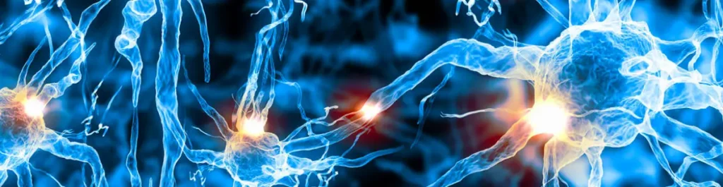 نبردی در اعماقِ مغز