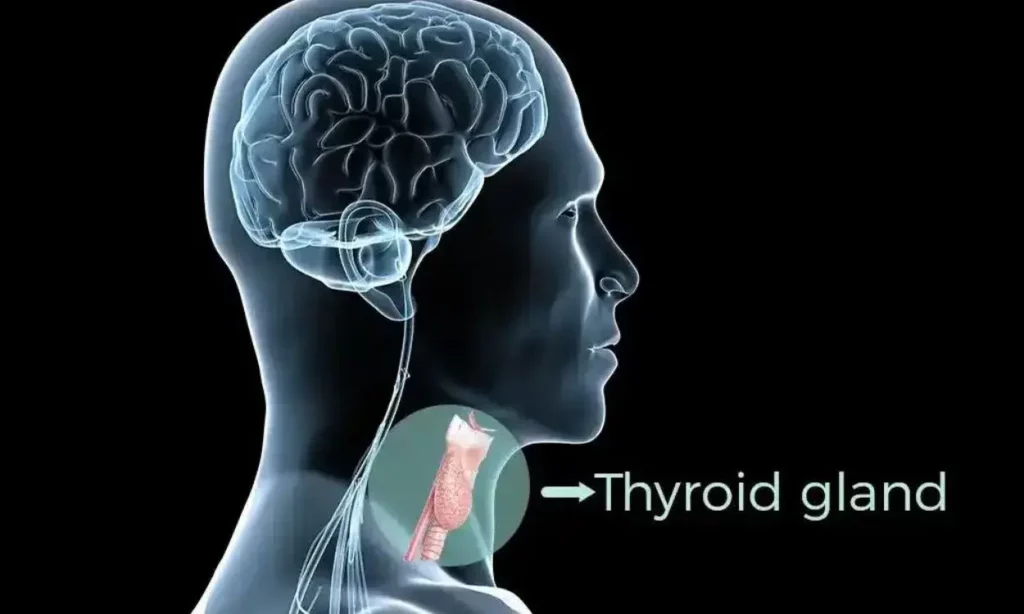 تیروئید بر سلامت روان چگونه تاثیر می گذارد؟
